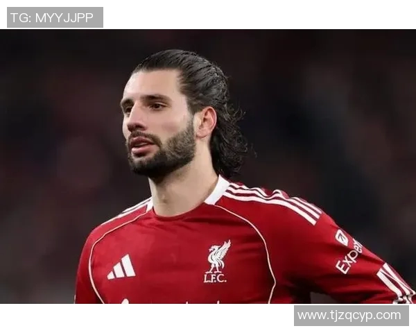 索博斯洛伊的历史与文化探秘：从古至今的变迁与影响