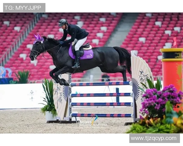 掌握马术比赛速度控制技巧在赛道上赢得竞争优势的策略分析